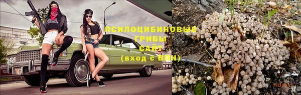 мдпв Абаза