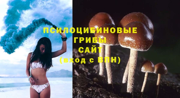 PSILOCYBIN Липки