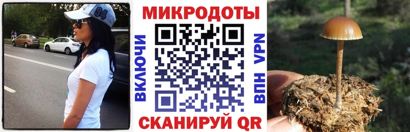 купить  сайты  Тимашёвск  гидра онион  Галлюциногенные грибы прущие грибы 